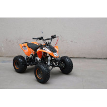 2015 EPA approve 110CC atv , madix 110 -EGL moto EPA